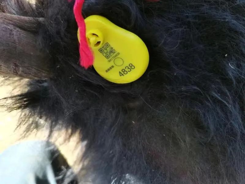 1660811791748728.jpg 02.jpg