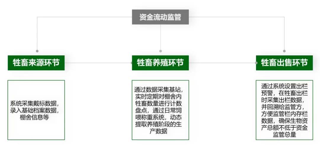 1660811936187413.jpg 03.jpg