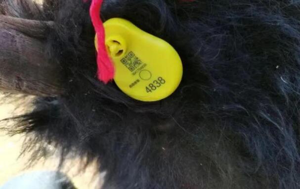 1673659201775603.jpg 20230114019.jpg